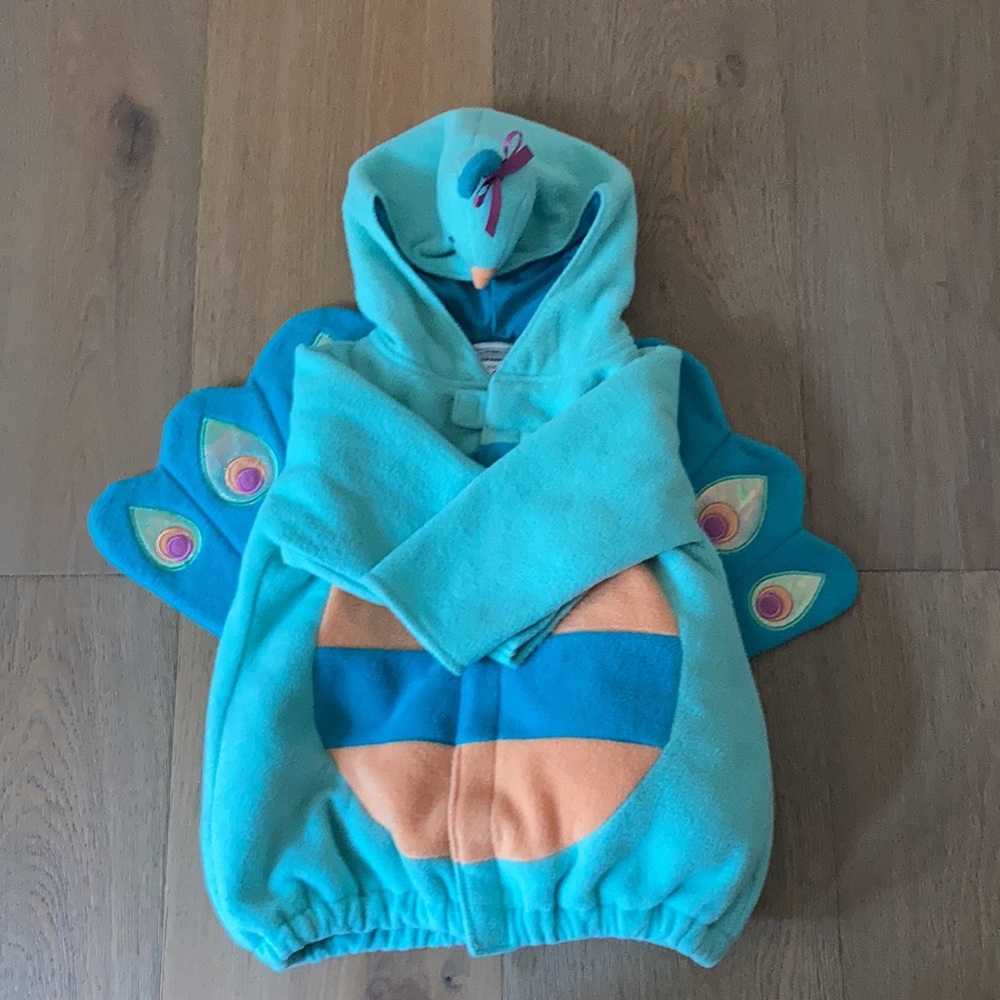 Peacock Costume